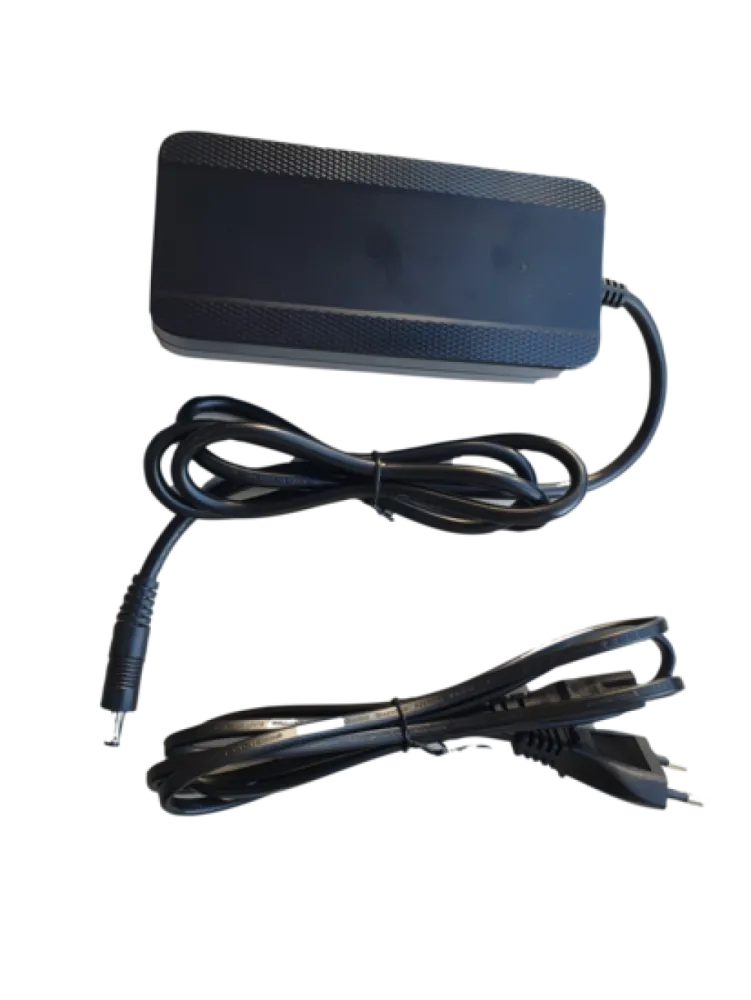 VanMoof Electrified S of X 36V Lader ebike van moof e-bike charger