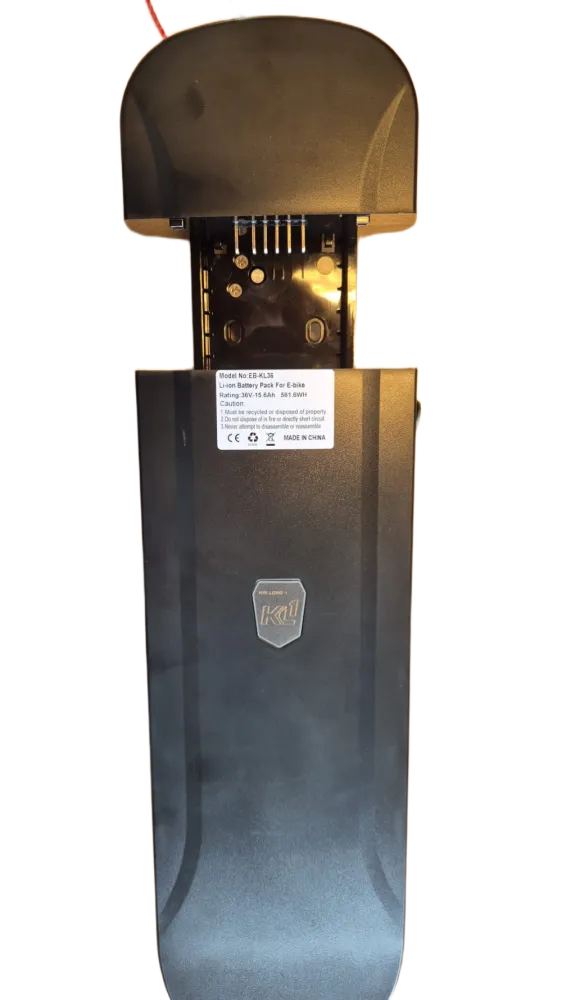 Accu 15,5Ah 561.6Wh met bagagedrager slede